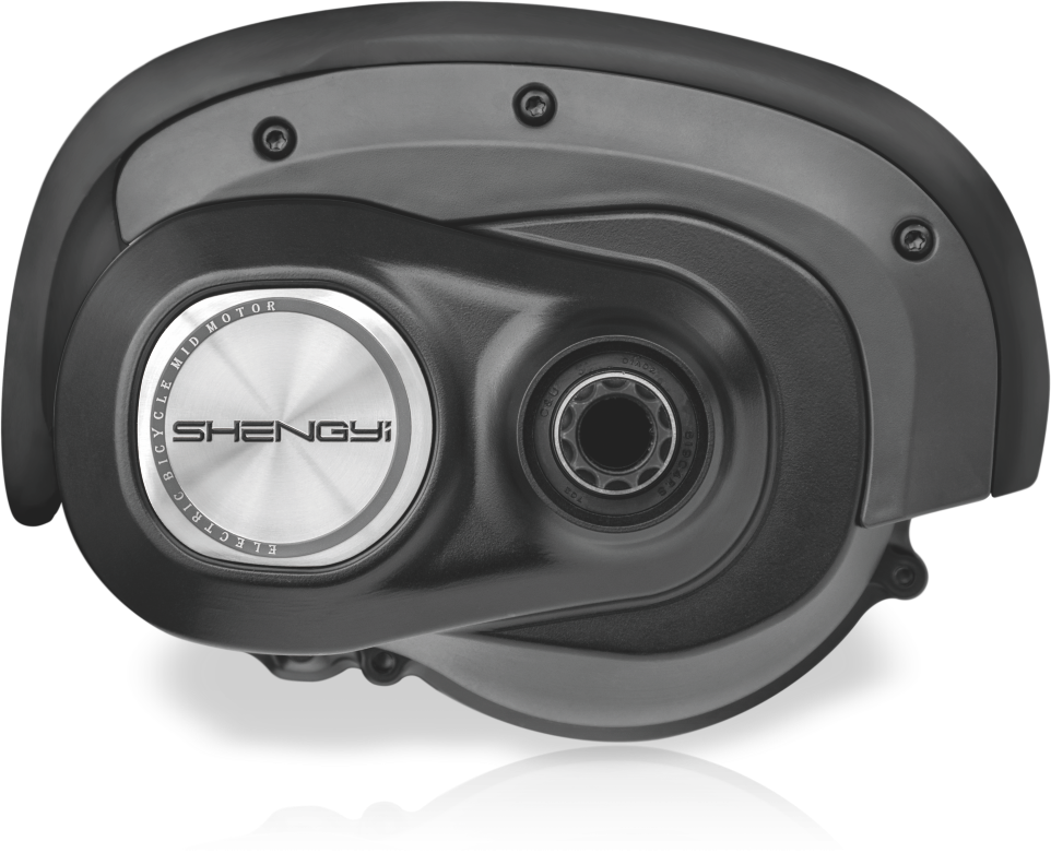 Shengyi motor